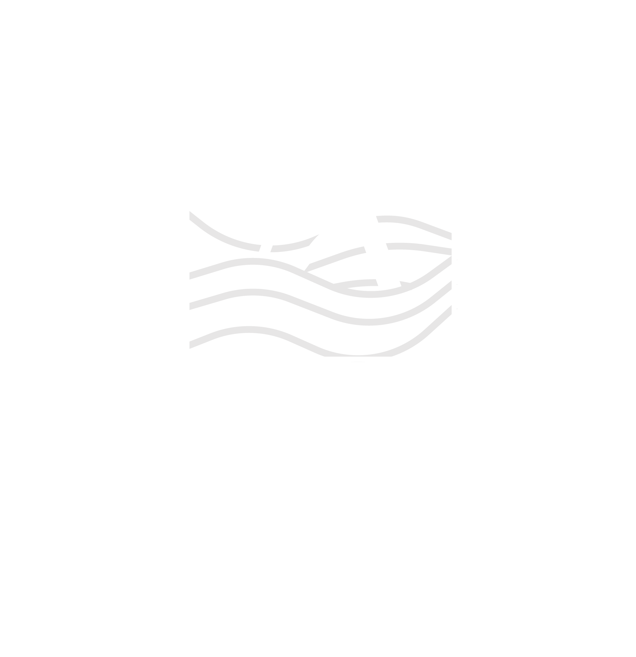 Arsolo Signature Realty